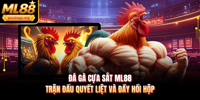 Đá gà cựa sắt